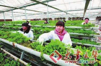 大豐海洋生物產業園成為國家級基地 時事