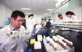 新民晚報數字報