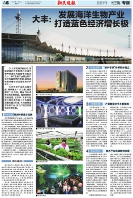美國版數字報